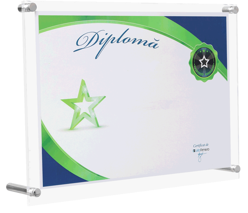 diploma cea mai mare firma din romania, localitatea satu mare, domeniul 1061: fabricarea produselor de morarit
