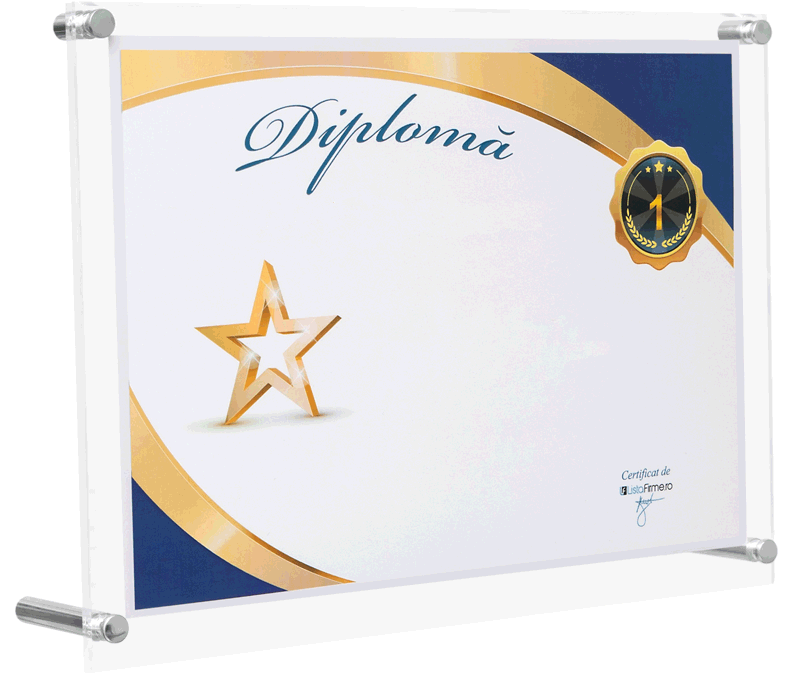 diploma locul 1 in top profit romania, localitatea caransebes, domeniul 1623: fabricarea altor elemente de dulgherie si tamplarie, pentru constructii