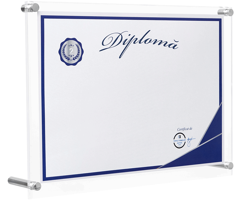diploma locul 2 in top afaceri romania microintreprinderi, judetul caras severin, domeniul 1623: fabricarea altor elemente de dulgherie si tamplarie, pentru constructii