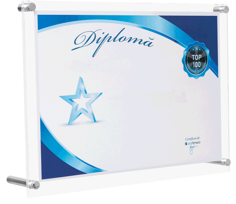diploma firma in top 100 afaceri romania