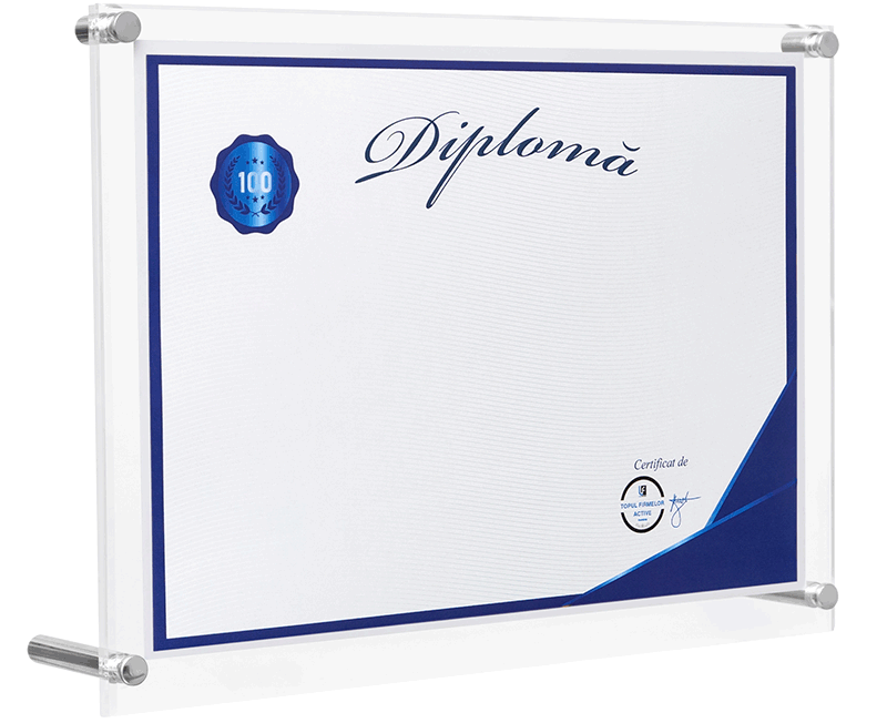 diploma firma in top 100 afaceri romania microintreprinderi
