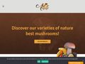 amifunghi