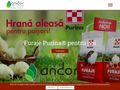 andor-international