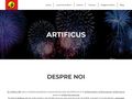 artificii-evenimente