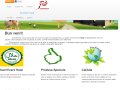 aviinstant