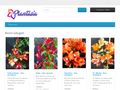 bougainvillea