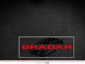 bradar