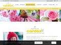cardex