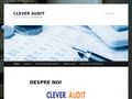 cleveraudit