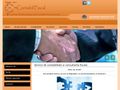 contabil-fiscal