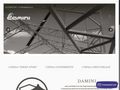 damini
