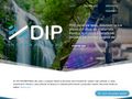 dipinternational