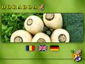doradda