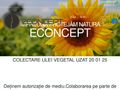econcept