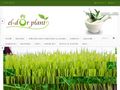 eldorplant