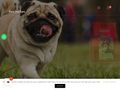 europetcare