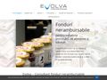 evolvaconsultant