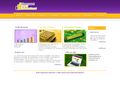 finaccount