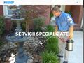 geoserv-dezinsectie