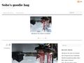 goodiebag