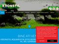 kronstil