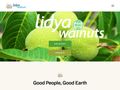 lidyawalnuts