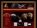 luxordeluxe