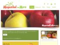 magazinulcumere