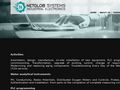 netglobsystems