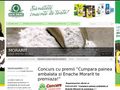 enache-morarit