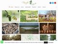 nucifereregia