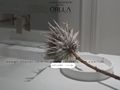 orllainteriors