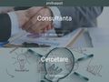 prosupport-consulting