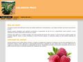 raspberry
