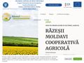 razesiimoldavi
