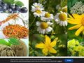 regiuplant