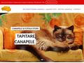reparatii-canapele-tapiterie
