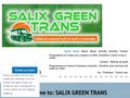 salixgreentrans