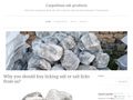 wordpress