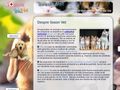 sosonvet