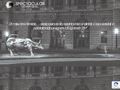 spectacular-advertising