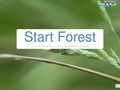 startforest