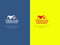 viosand