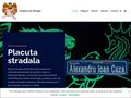 viradryartdesign