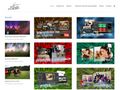 visualexpert