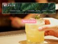 visuin