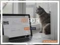 wowfactory