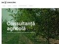 dmconsulting