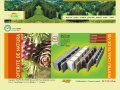 ecodomo