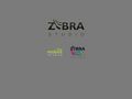 zebrastudio